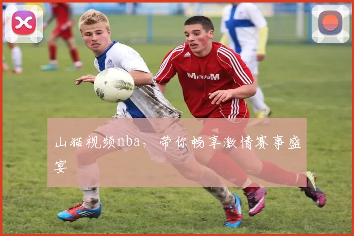 山猫视频nba，带你畅享激情赛事盛宴