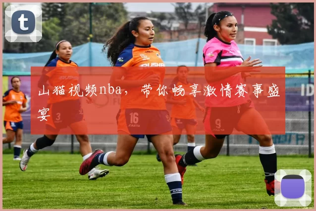 山猫视频nba，带你畅享激情赛事盛宴