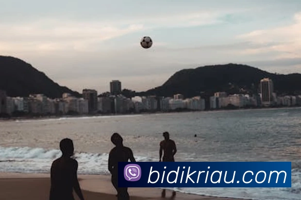 九游j9官网登陆APP 封面图